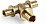 shop_items_catalog_image4801148